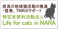 Life for cats in NARA～奈良の地域猫サポート　ふうみも賛助会員として活動に協力しています